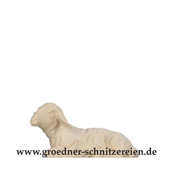 Schaf liegend Schaf liegend