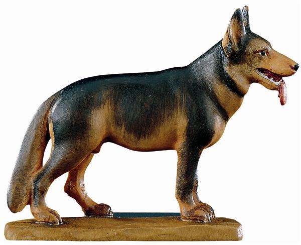 Hund Hund