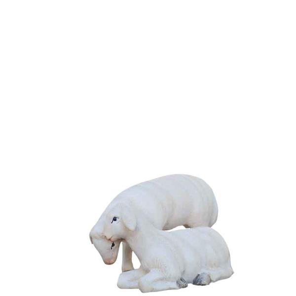 Schafgruppe Schafgruppe