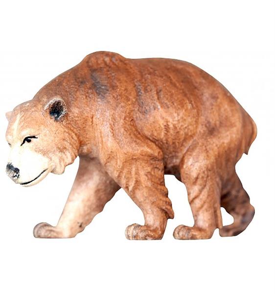 Braunbär Braunbär
