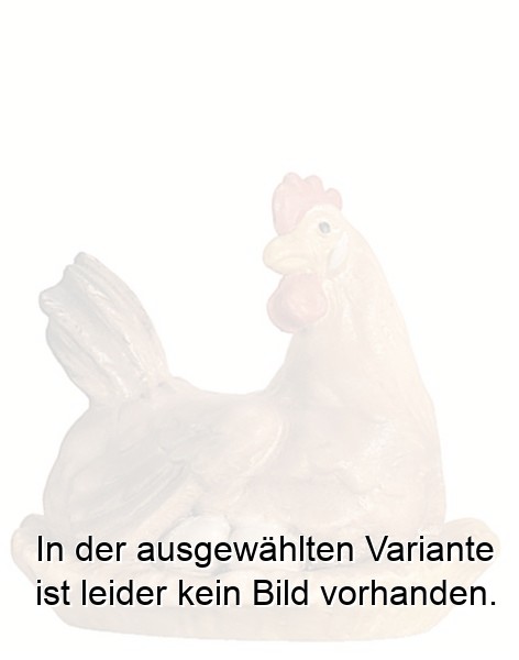 Brütende Henne Brütende Henne