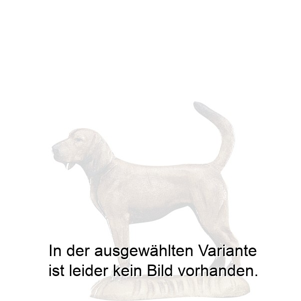 Hund