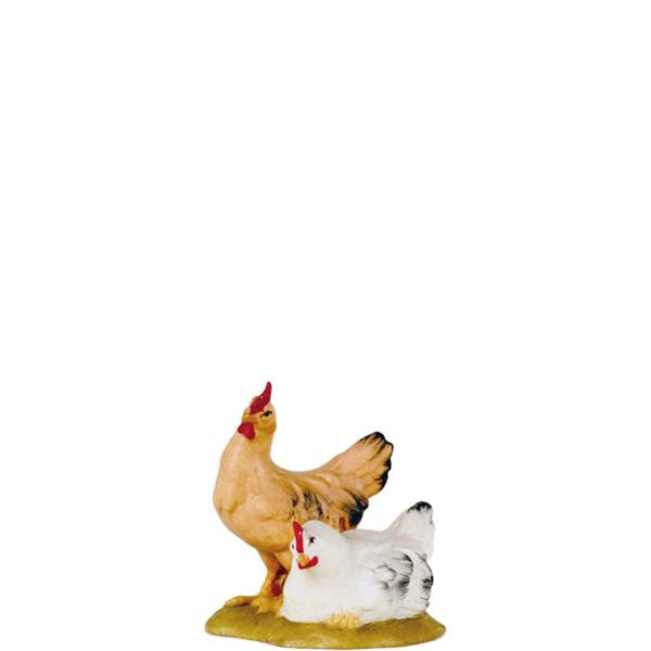 Hennengruppe Hennengruppe