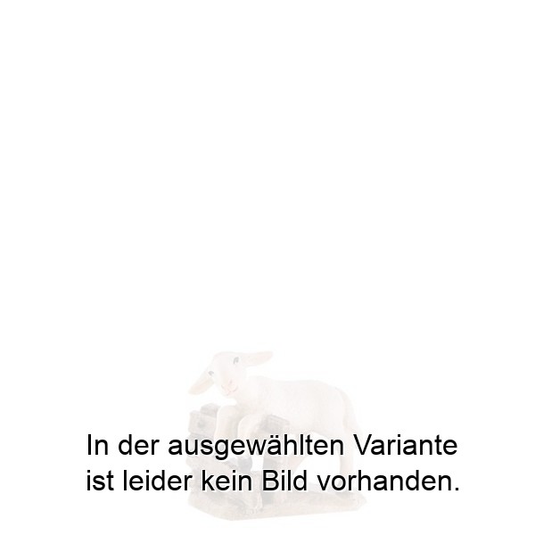 Lamm am Zaun Lamm am Zaun