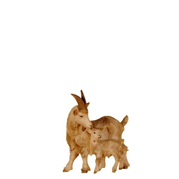 Ziege mit Kitz