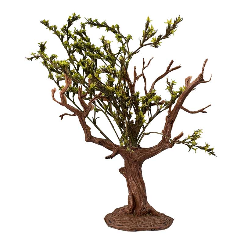 Baum mit grünen Blättern Baum mit grünen Blättern