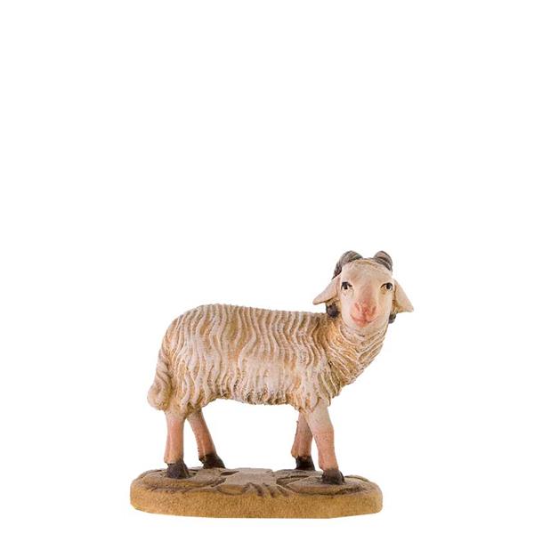 Schafbock Schafbock