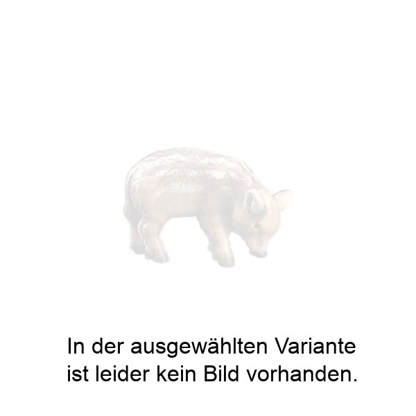 Schnuppernder Frischling