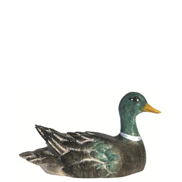 Ente schwimmend - Kopf rechts grün Ente schwimmend - Kopf rechts grün