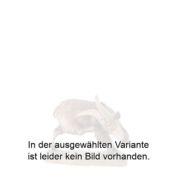 Ziegenbock kratzend Ziegenbock kratzend
