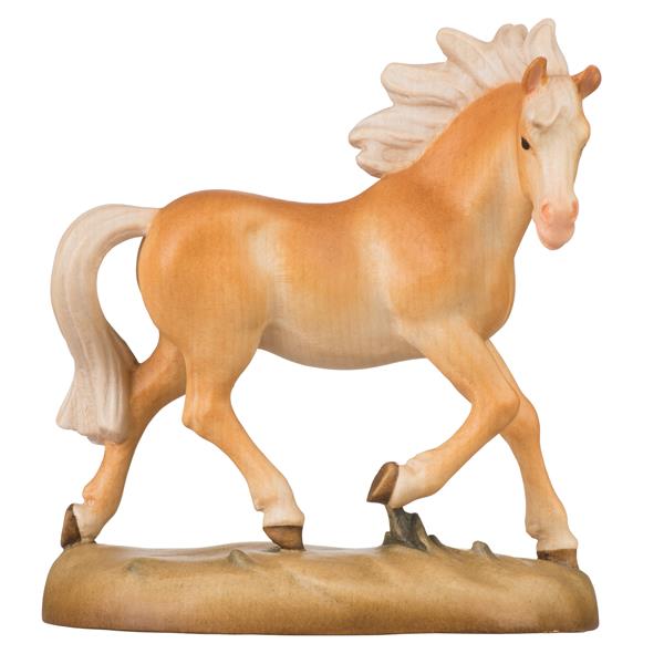 Pferd Pferd