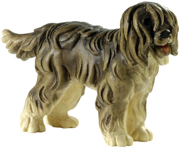 Hirtenhund