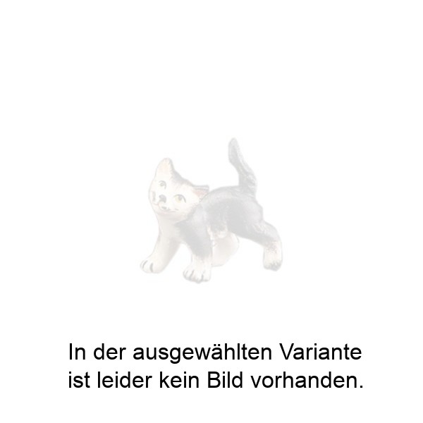Laufendes Kätzchen Laufendes Kätzchen