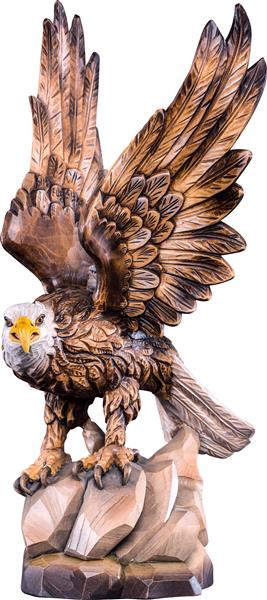 Weißkopfseeadler