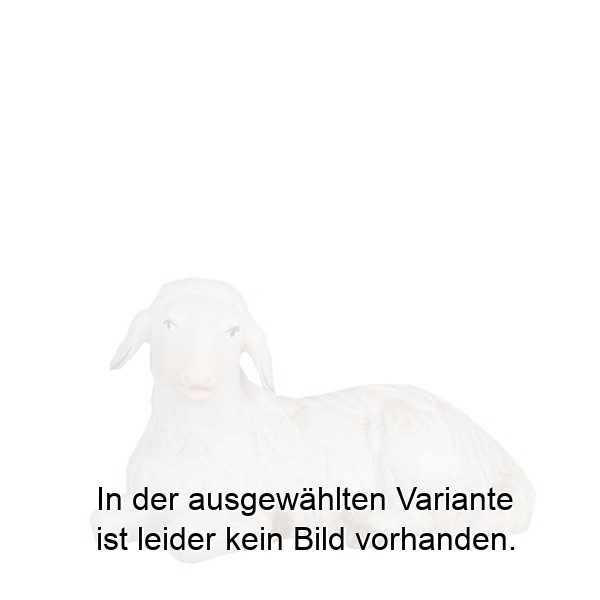 Schaf liegend