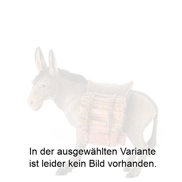 Esel beladen Esel beladen