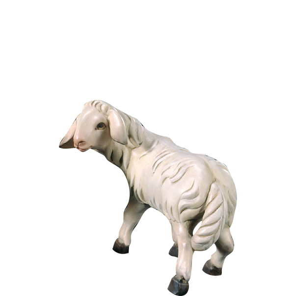 Schaf stehend lovely Schaf stehend lovely