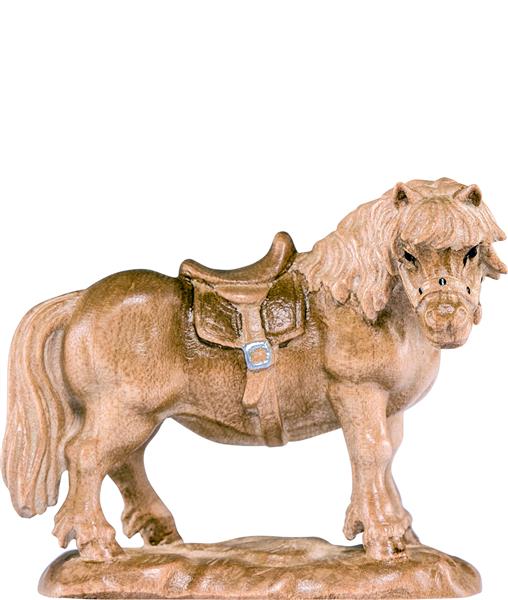 Pony