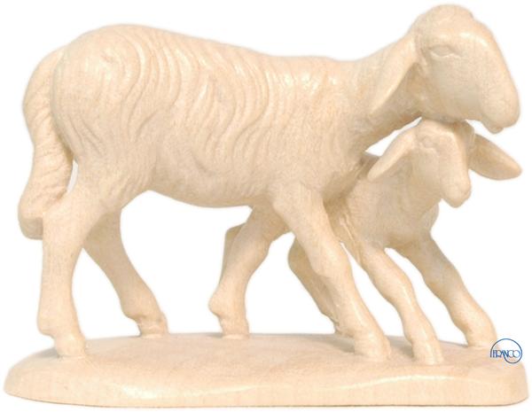 Schafgruppe stehend Schafgruppe stehend