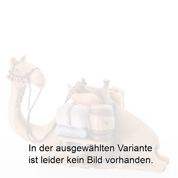 Kamel liegend