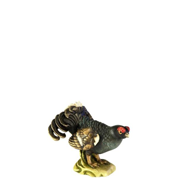 Birkhahn Birkhahn
