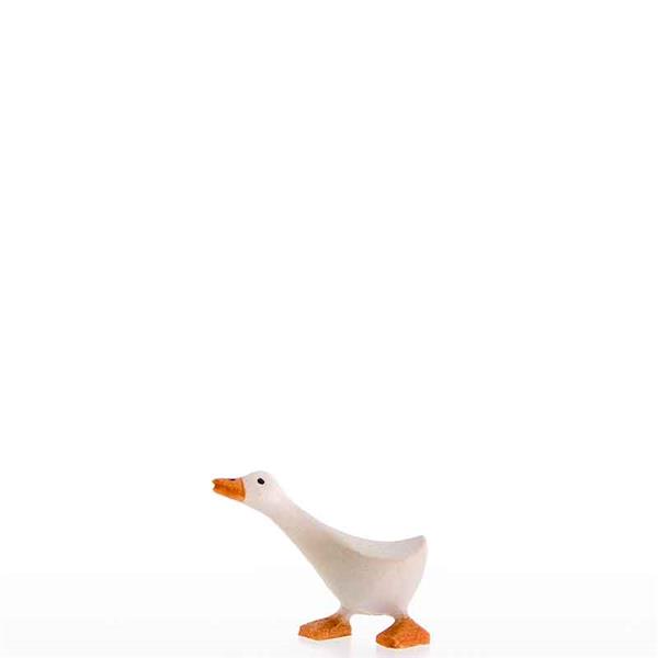 Gans rennend Gans rennend