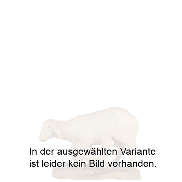 Schaf mit Lamm Schaf mit Lamm