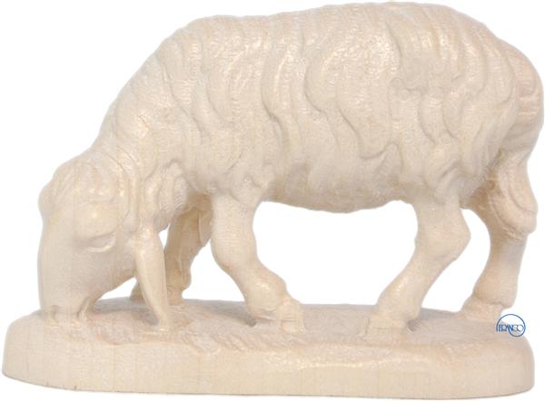 Schaf fressend Schaf fressend