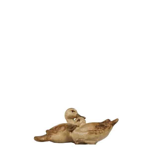 Wildentengruppe Wildentengruppe