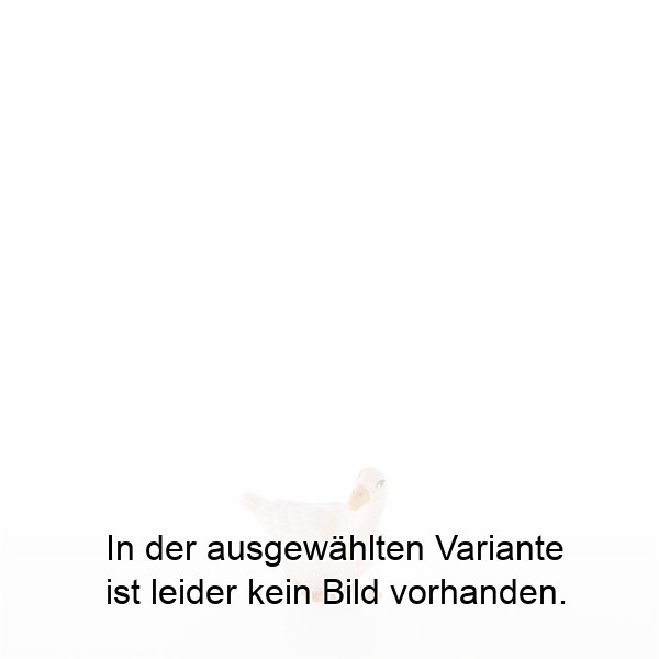Gans nach links schauend