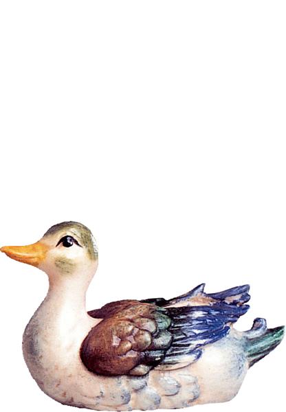 Ente weiss Ente weiss