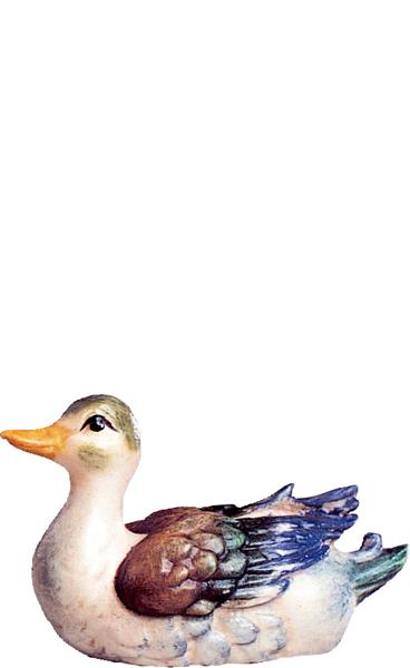 Ente weiss Ente weiss