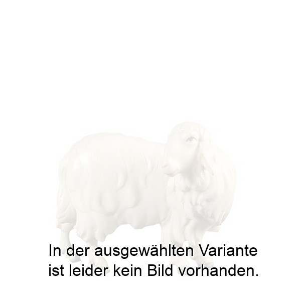 Schaf Rückwerts schauend Schaf Rückwerts schauend