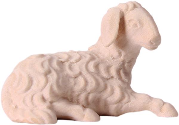 Schaf liegend Schaf liegend