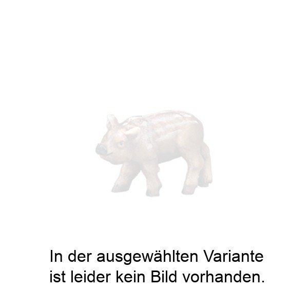 Frischling geradeausschauend Frischling geradeausschauend
