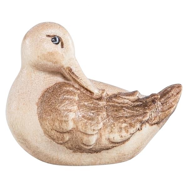 Erpel schlafend Erpel schlafend