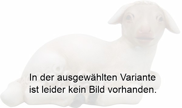 Lamm liegend