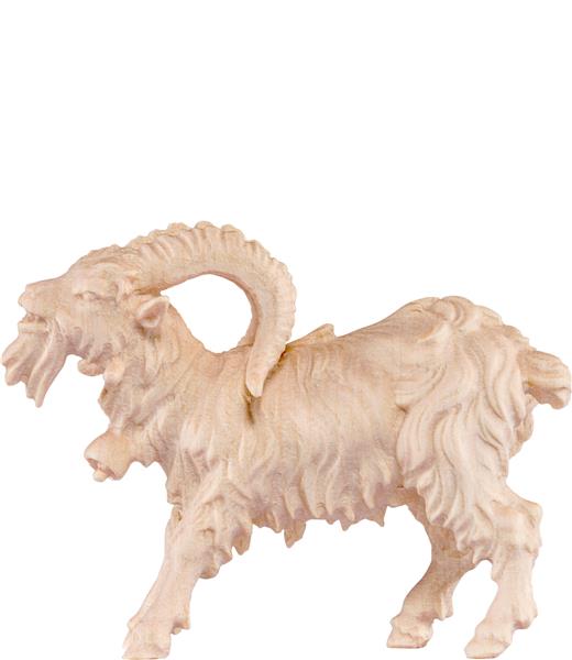 Ziegenbock Ziegenbock