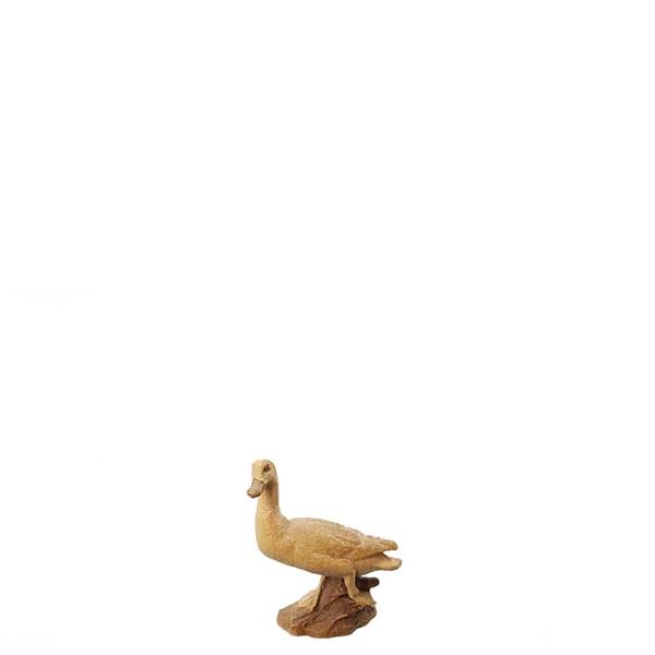 Wildente