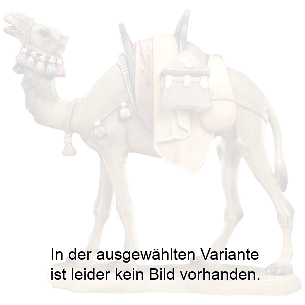 Kamel