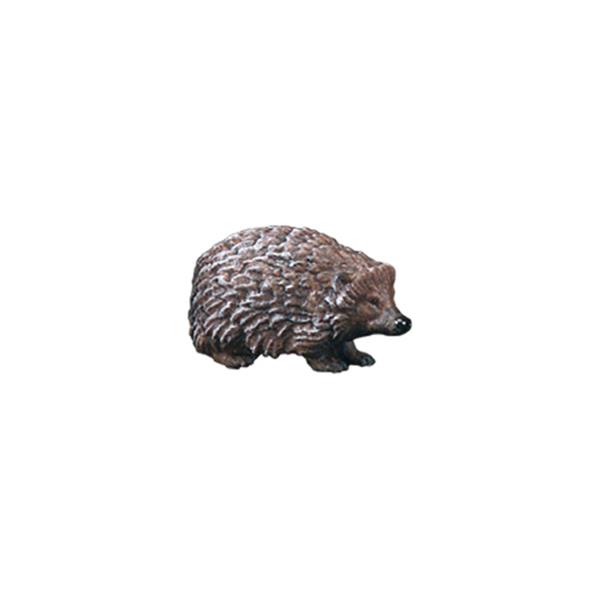 Igel nach unten schauend Igel nach unten schauend