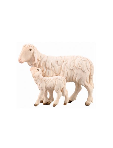 Schaf laufend mit Lamm Schaf laufend mit Lamm