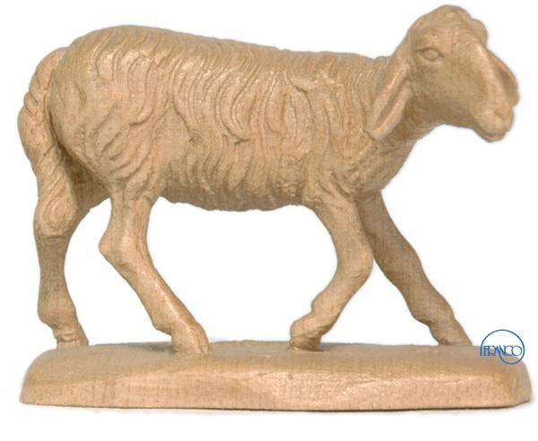 Schaf klein Schaf klein