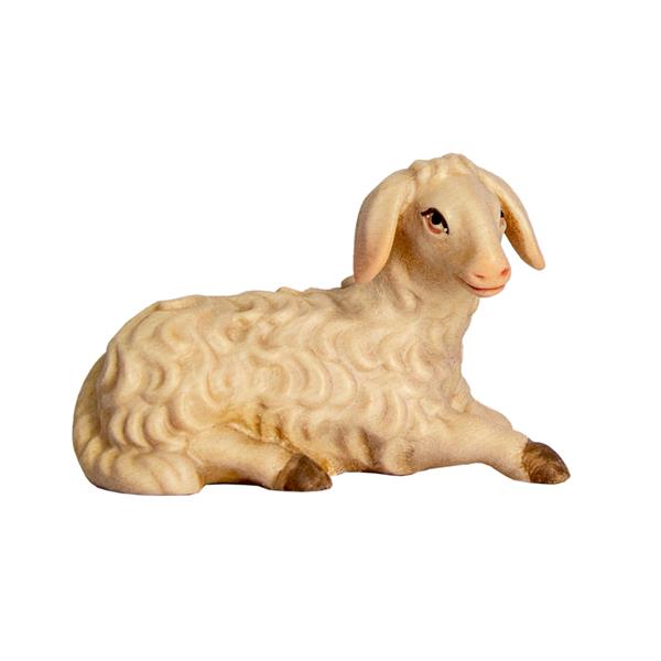 Schaf liegend Schaf liegend