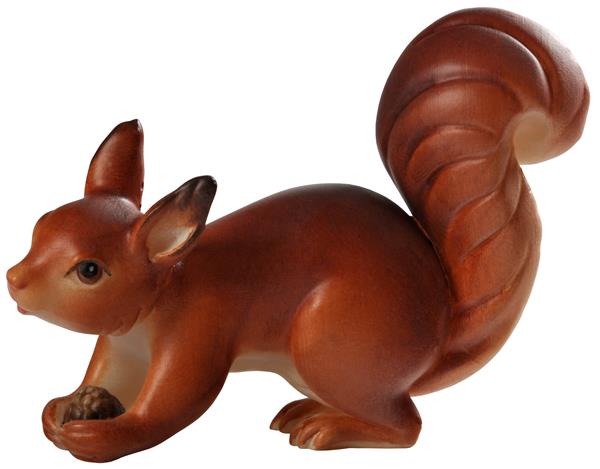 Eichhörnchen laufend Eichhörnchen laufend