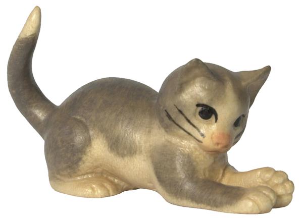 Katze Pfoten vorne grau-weiß Katze Pfoten vorne grau-weiß