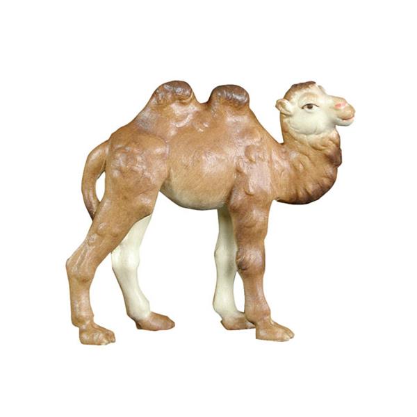 Kamel klein