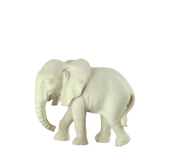 Baby Elefant stehend Baby Elefant stehend
