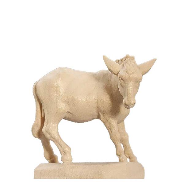 Esel stehend Esel stehend