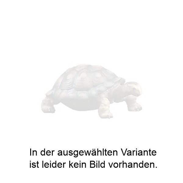 Schildkröte